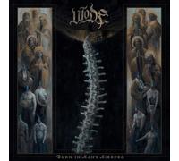 Burn In Many Mirrors - Cd Album
