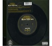 Burn It Down [Import]