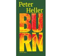Burn - Peter Heller - Actes sud - broché - Roman