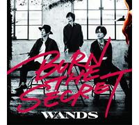 「BURN THE SECRET」通常盤 (CD)