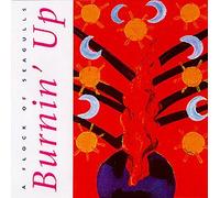 Burnin' Up [Import]