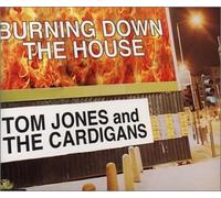 Burning Down The House [6 Trac [Import]
