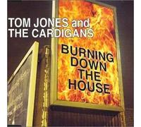 Burning Down the House [SINGLE] [IMPORT]