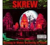 Burning in Water Drowning in Flame by Skrew