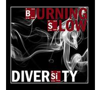 Burning Slow - Diversity