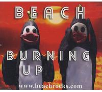 Burning up (& Video, 2004) [Import]