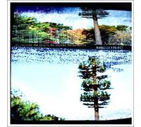 Burnside Project - Networks, Circuits, Streams, The Harmonies