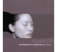 Burnt By the Sun & Luddite Clone - Split Release