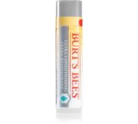 Burt's Bees Baume pour lèvres – Lèvres sèches – 4,25 g