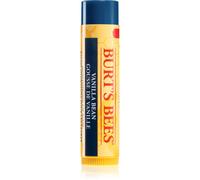 Burt's Bees Baume à lèvres hydratant à la vanille 100 % naturel 4,25 g