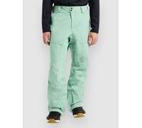 Burton AK Gore-Tex Swash Pantalon vert L