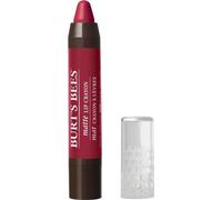 Burt's Bees Crayon à lèvres Napa Vineyard 3.11g