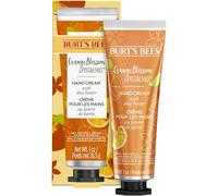 Burt's Bees Crème Hydratante pour Mains au Beurre de Karité/Fleur d’Oranger/Pistache 28,3 g