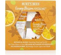 Burt's Bees, Kit mains et lèvres, Pistache et fleur d'oranger, 1 kit