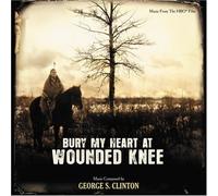 Bury My Heart at Wounded Knee
