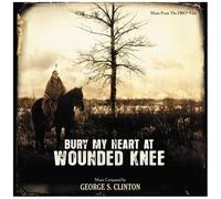 Bury My Heart At Wounded Knee