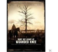 Bury My Heart at Wounded Knee G