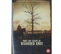 BURY MY HEART AT WOUNDED KNEE-VN G