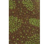 Busch 1321 Paysage non-tissé pour sol forestier estival