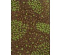 Busch 1321 Textile paysager sol forestier Estival