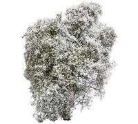 Busch 3585 Buisson printemps blanc, fleuri(e)