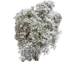 Busch 3585 Buisson printemps blanc, fleuri(e)