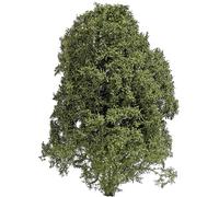 Busch 3589 Buisson été vert