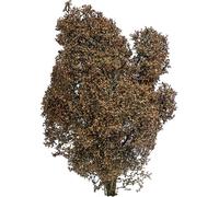 Busch 3590 Buisson 150 mm automne