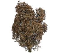 Busch 3590 Buisson 150 mm automne