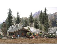 Busch Model Cabane forestière 6042 H0 Modélisme ferroviaire