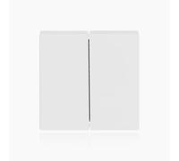 Busch-Jaeger 1785-24 G Interrupteur à bascule canne réglable