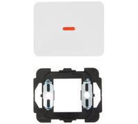 Busch-Jaeger 1789-24G Plaque de recouvrement, Cache Interrupteur Mural, Commutateur Inverseur, Interrupteur va-e