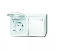 Busch-Jaeger 20/2 EWN-54 SCHUKO® Prise Double (thermoplastique) Blanc Alpin océan® (IP 44) 2CKA002084A0715