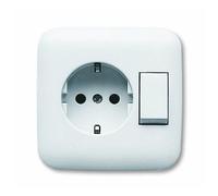 Busch-Jaeger Busch-Jaeger Combinaison prise + interrupteur blanc 4310/6 EUJ-214 Quantité:1