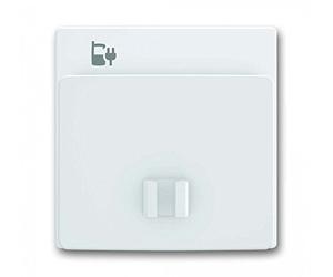 Busch-Jaeger 6478-84 Future Linear Enjoliveur