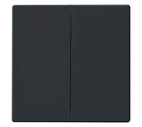 Busch-Jaeger 6736 FoH-81 Wippe, Dynastie Busch, Amis de la peau Zigbee, Anthrazite (2CKA006730A0133)