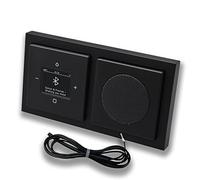 Busch Jäger 8217U-101 Radio Bluetooth DAB+ encastrée Noir mat Kit complet + haut-parleur + antenne EBROM de 0,9 m pour optimisation de la réception