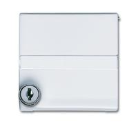 Busch-Jaeger Anneau intermédiaire avec plafond rabattable 2118 GKSLN/11-34 2CKA001710A3793