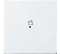 Busch-Jaeger Bascule 1-f Symbole Scène 6233-10-84 2CKA006220A0043