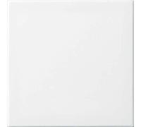 Busch-Jaeger bascule aws 2506-914 2CKA001731A2002