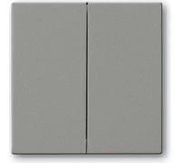 Busch-Jaeger Bascule gr/met 6736 FoH-803 2CKA006730A0137