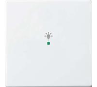 Busch-Jaeger Bascule simple, symbole lumière 6231-10-84 2CKA006220A0037