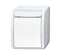 Busch-Jaeger basculer, Bouton + interrupteur, Blanc