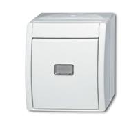 Busch-Jaeger basculer, Bouton + interrupteur, Blanc