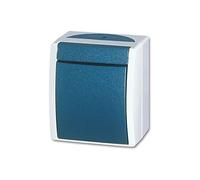 Busch-Jaeger basculer, Bouton + interrupteur, Blanc, Bleu