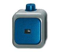 Busch-Jaeger Bouton-poussoir à bascule, Bouton + interrupteur, Gris