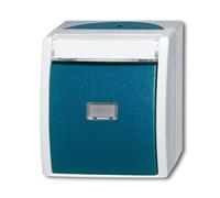 Busch-Jaeger Bouton-poussoir, Bouton + interrupteur, Bleu, Gris, Vert