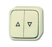 Busch-Jaeger Bouton-poussoir pour stores 2621/4 AP 2CKA001442A0193