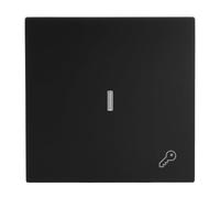 Busch-Jaeger Busch-art Interrupteur à bascule linéaire avec symbole | Petit couvercle transparent - Interrupteur à levier unique - Fixation à griffes - IP20 - 69,5 x 69,5 mm