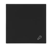 Busch-Jaeger Busch-art Linear Bascule avec symbole de clé Noir mat | Pour interrupteur/bouton, bascule simple, fixation à griffes encastrable, indice de protection IP20, l 69,5 x H 69,5 mm